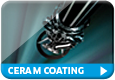 Wilo EMU Ceram coating van Pompdirect